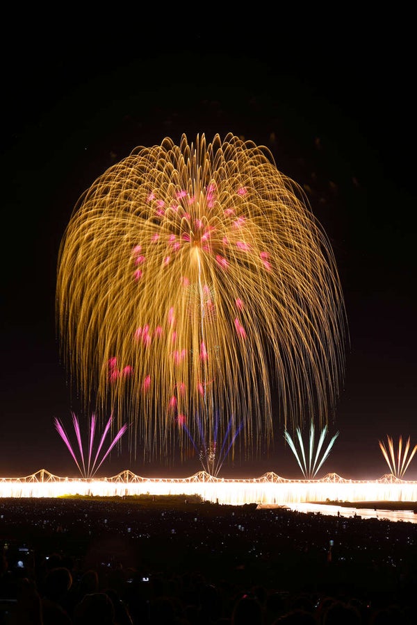 【横浜・町田発】団体指定席から眺める!長岡まつり大花火大会2日間1